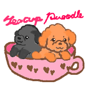 a pretty poodle