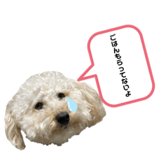 yuina_20200308131745