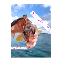 kaito_20200308123610