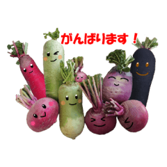 realistic vegetable sticker