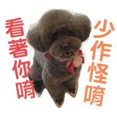 Candyu_20200311025131