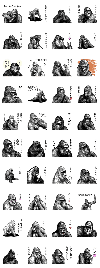 Real gorilla Kansai dialect