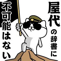 "YASHIRO"name/Military cat