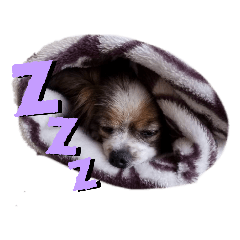 yukari_20200308191434