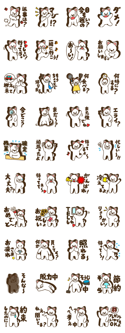 Shiroinu-san