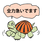 "Watermelon TORTOISE" to hurry