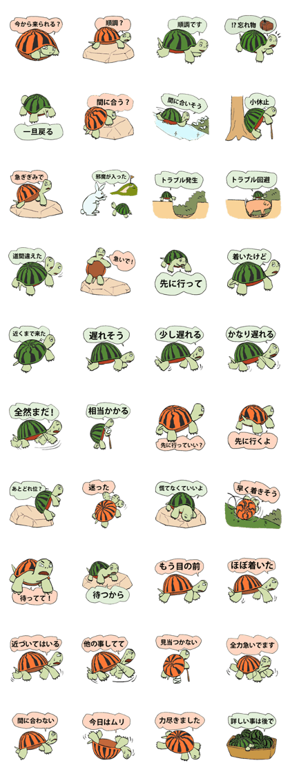 "Watermelon TORTOISE" to hurry