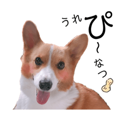 saori_20200308202017