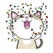 Nina The Funny Cat