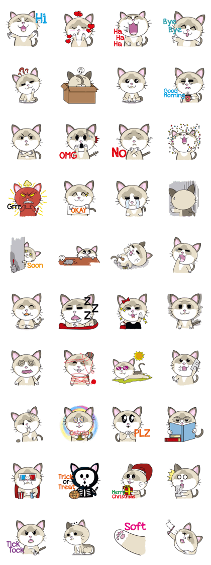 Nina The Funny Cat