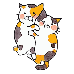 猫カップルの日常