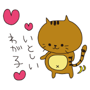 pregnant cat