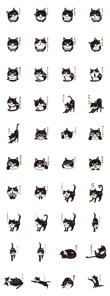 Japan's stray cat walk