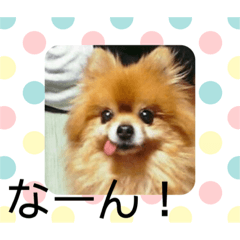 saiko_20200308201109