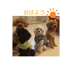 yuumi_20200308222709
