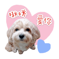 QQ寶貝照
