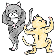Mucchi And Mocchi