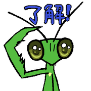 Kiri of a mantis