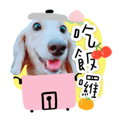 我是可愛的豆豆 日常篇