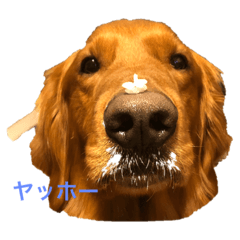 MORI_20200309003342