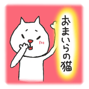Your cat
