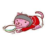rugby and cat