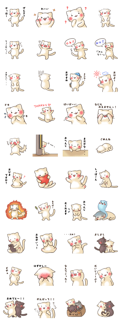 of white cats