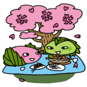 sakuramochi