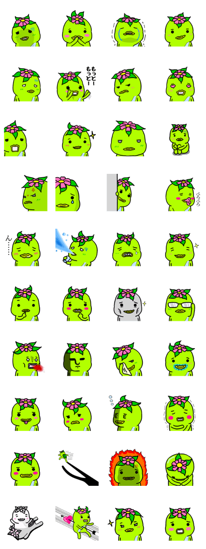 kawacchi2