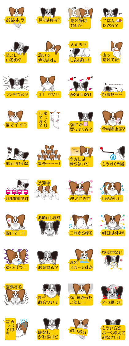 brown papillon & black papillon Part2