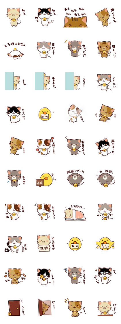 Reminder cat sometimes chick