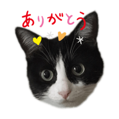 Hana_20200309133428