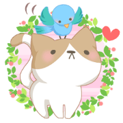 [Healing]Cats and birds.