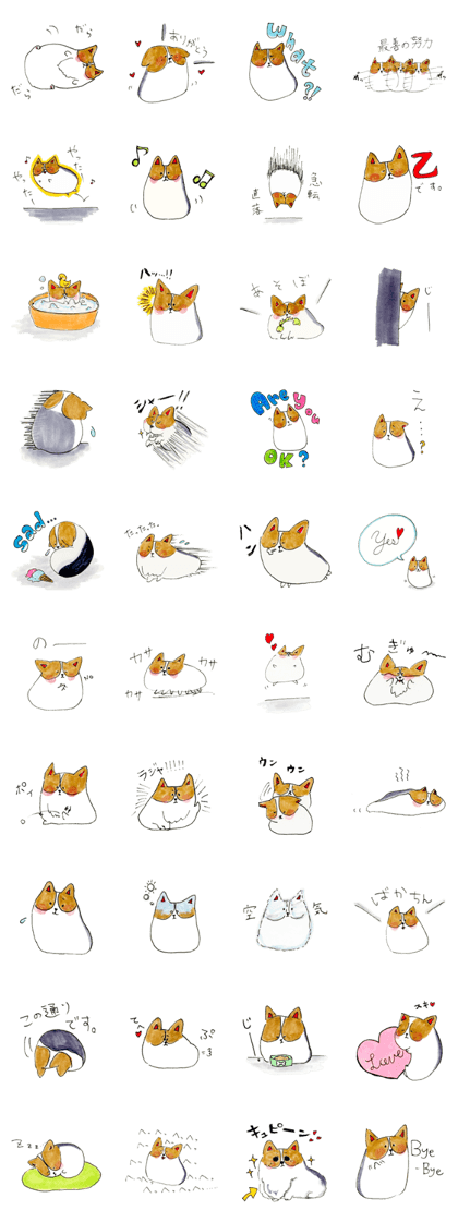 The Daily Corgi!!