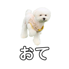 jinjin_20200308222324