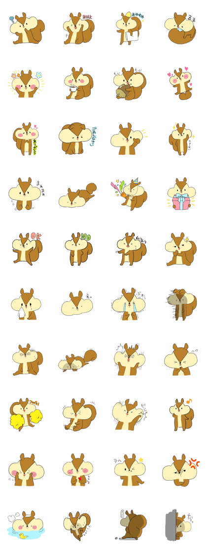 Everyday life of the squirrel