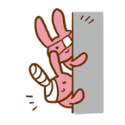 DisinfectionRabbit