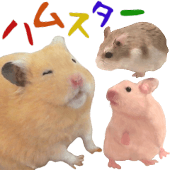 Friends of the hamster