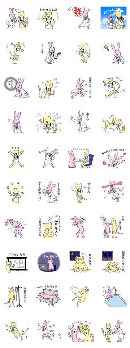 cat and rabbit are medical students