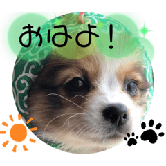 asuka_20200309134712