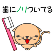 Hachi-Tora, carefree cat.