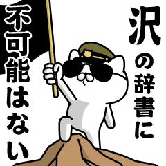 "SAWA"name/Military cat