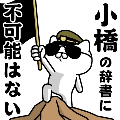 "KOHASHI"name/Military cat