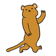 Forest of a mongoose