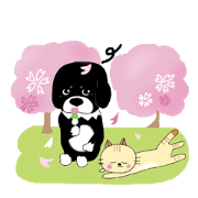 Kuro's daily life 3