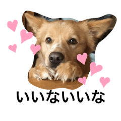 yoshidakenosutanpu