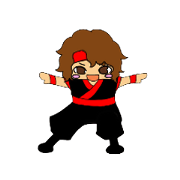 japanese Ninja! Ninja Eagle!