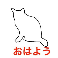 cat cat 白いねこ