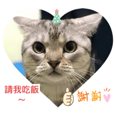 別讓Mini 不開心