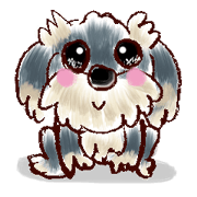 bab-chan the wire haired dachshund